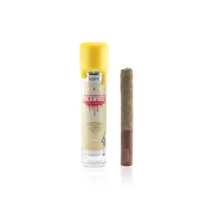Banana Macaroon Blunt, a delightful blend of flavor and relaxation designed to elevate your smoking experience. This blunt offers a unique combination of banana sweetness and the rich, nutty taste of macaroons, creating a truly indulgent treat for your senses.